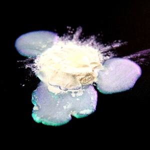 PIGMENT kameleon fiolet/zielony 20g