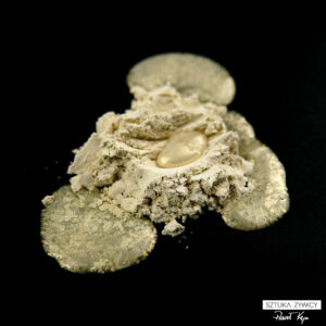 PIGMENT opal złoty 20g