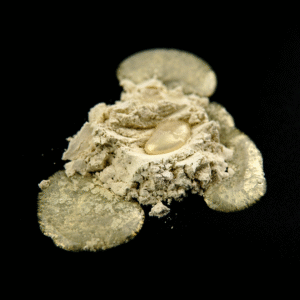 PIGMENT opal złoty 20g