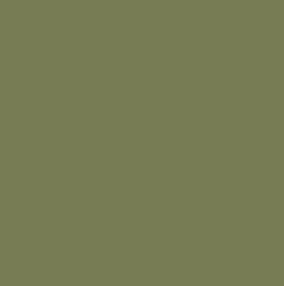 Pasta PRO khaki - pigment do żywicy epoksydowej | ResinVolt - obrazek 4